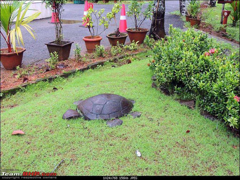 Abad Turtle Beach Mararikulam Exterior photo