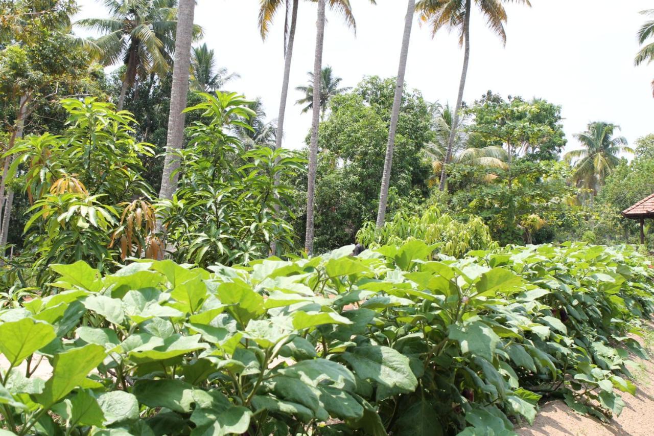 Abad Turtle Beach Mararikulam Exterior photo